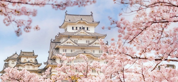 Weeping Cherry Blossom Festival
