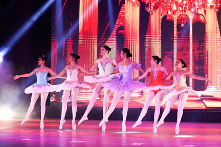 Cirque du Ballet