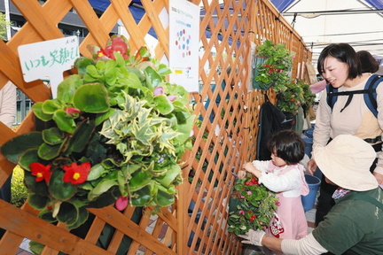 Hanging Basket Creation Workshop