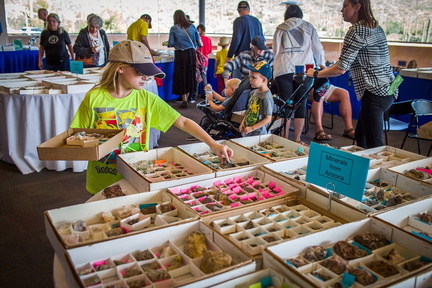 Mineral Madness