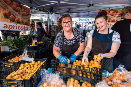 Farm Gate Market