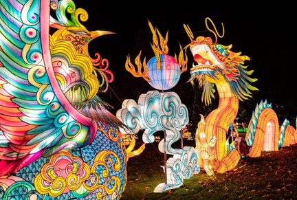SeaLight Festival