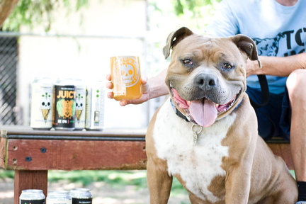 Pints for Pits