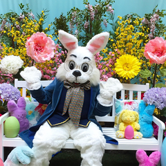 Photos With The Bunny
