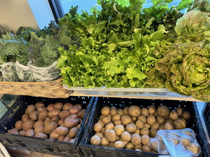 Winter Market