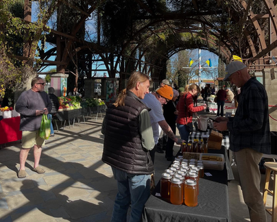 Vineyard Farmers Market