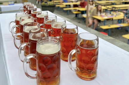 northeast philly beer festival