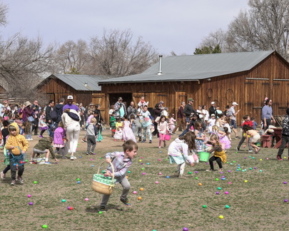 Family Egg Hunt