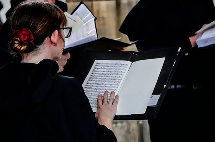 Vox Trinitas, Solus Ad Victimam