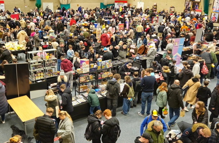 Pokemania