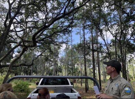 Safari Tram Tour