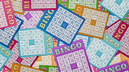 bingo (3)