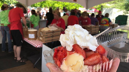 Community School's Strawberry Festival