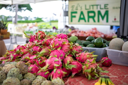 Kakaʻako Farmers Market