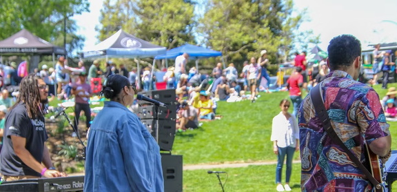 Piedmont Food Fest