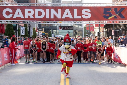 Cardinals 5K