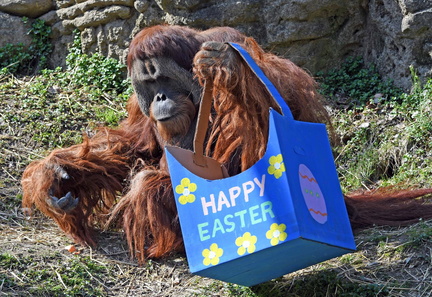 Easter Celebration