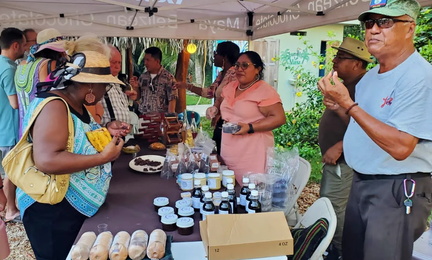 Toledo Cacao Festival
