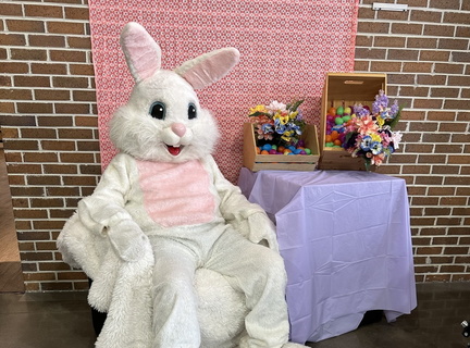 Easter Egg Hunt &amp; Bunny Photos