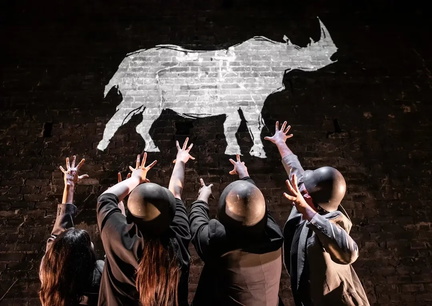 Rhinoceros