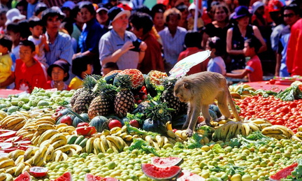 Monkey Buffet Festival