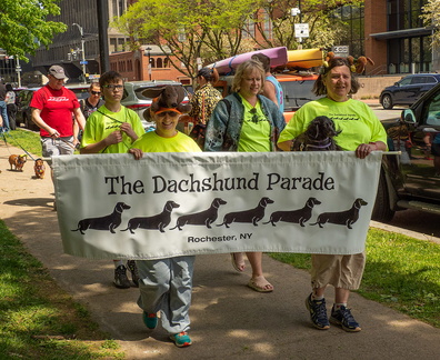 Rochester Dachshund Parade
