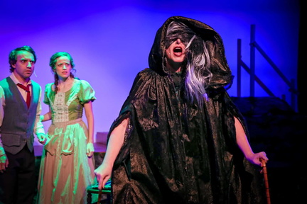Into The Woods