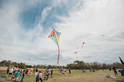 Great Delaware Kite Festival