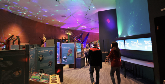 Flandrau Science Center & Planetarium