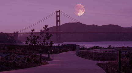 Parks4All: Pink Full Moon Party