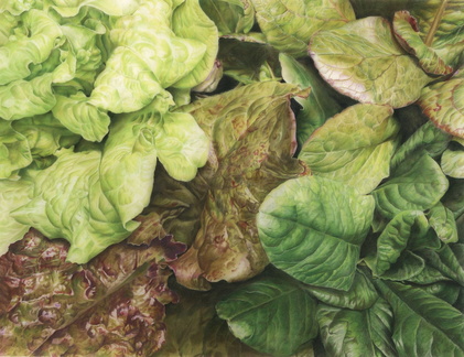 luppino-mixed-baby-greens+web edit 74779903851609