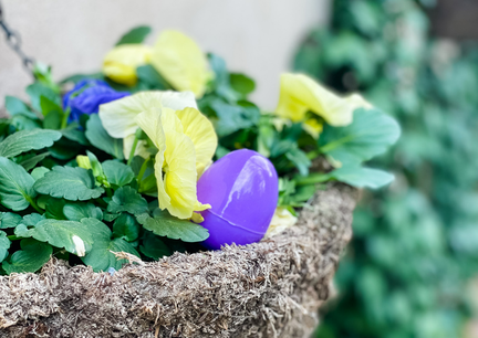 Easter Egg Hunt