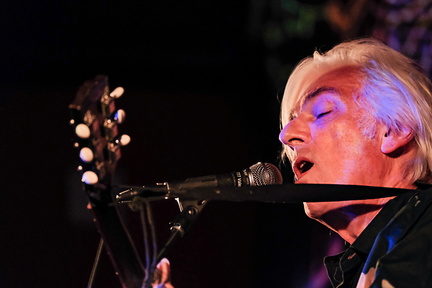 Robyn Hitchcock