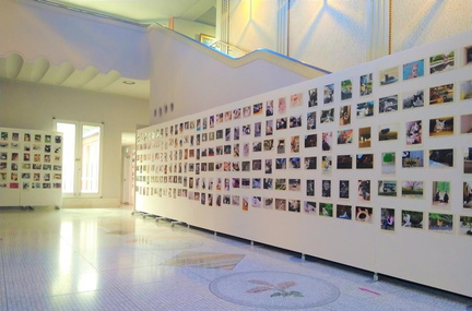 Osaragi Jiro x Cat Photo Exhibition 2025