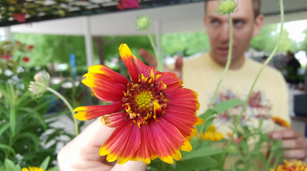 Plant A Prairie Sale