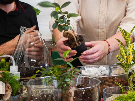 April Terrarium Building