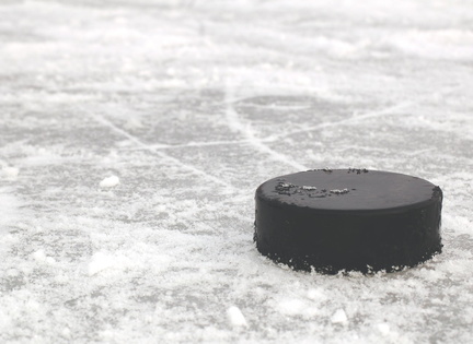 Hockey-Puck