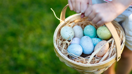 Easter Egg Hunt &amp; Party