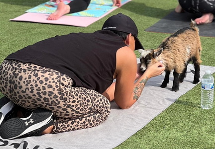 Goat Yoga