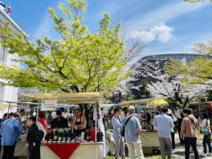 Wine Festival