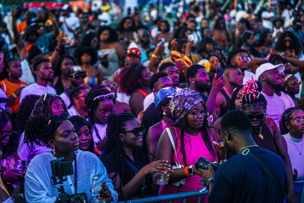 DMV PARTY IN THE PARK