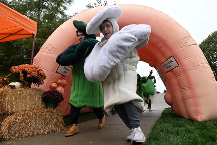 My Gut Instinct – Guts and Glory Festival