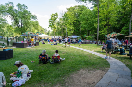 Bearsville Bluegrass Festival