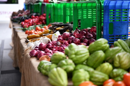 Friday Foragers Market