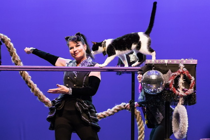 acro_cats_2-2-19-6645