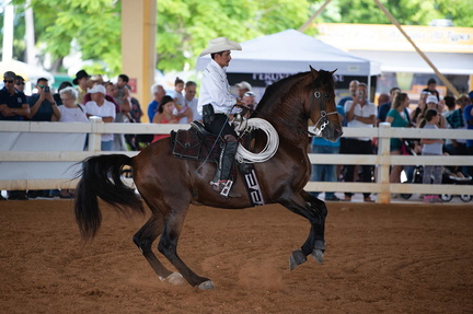 Bronc-Riding-1