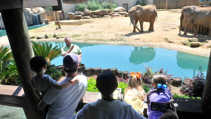 Earth Day Safari