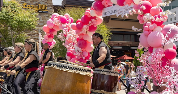 Cherry Blossom Festival 2025