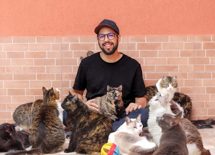 André Assunção - The Father of Cats
