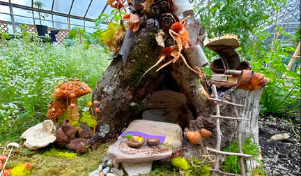 Fairy Garden Days 2025 Fungarium The Mushroom Museum